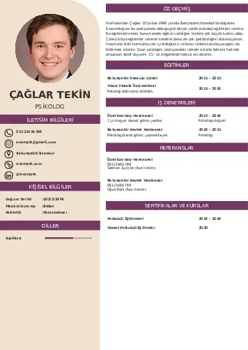 Psikolog CV Örnekleri cv indir